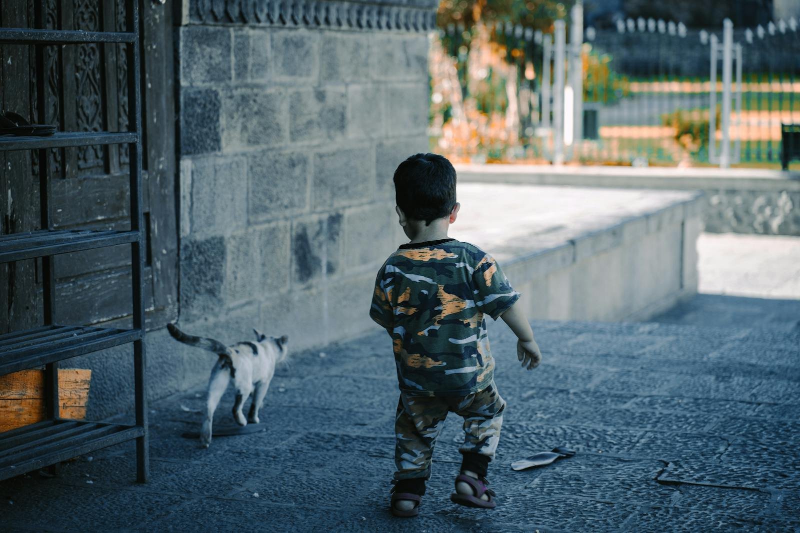 A toddler in camouflage clothes follows a cat on a stone pathway outdoors.