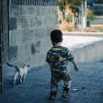 A toddler in camouflage clothes follows a cat on a stone pathway outdoors.