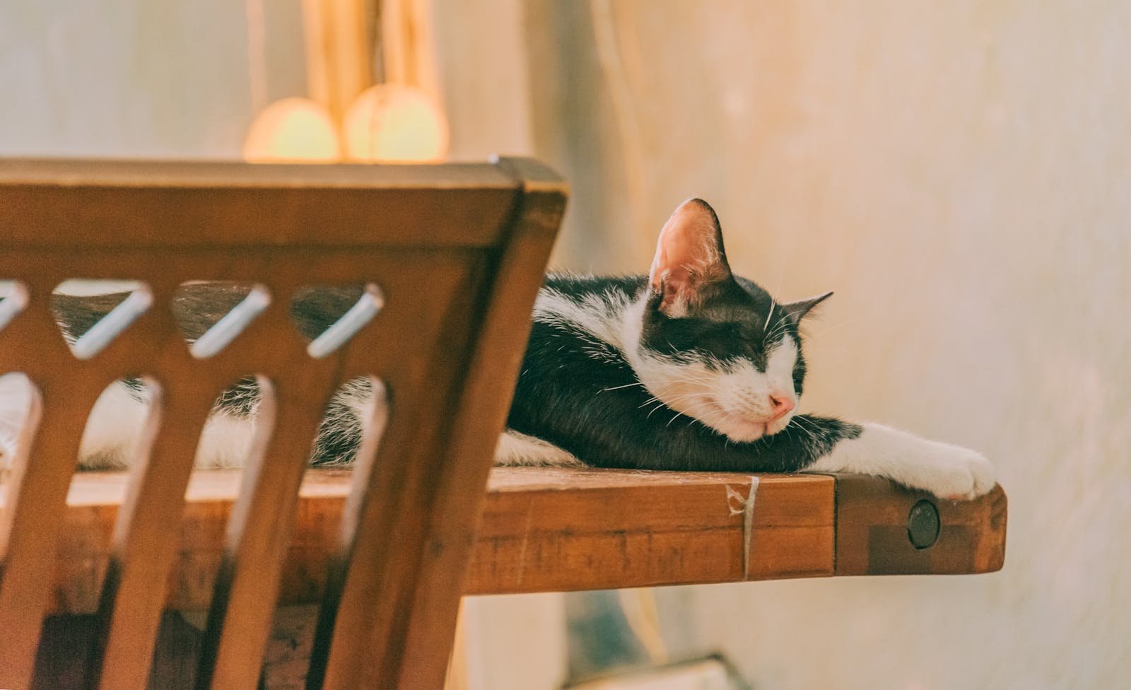 A black and white cat peacefully sleeping on a light-colored wooden table indoors.