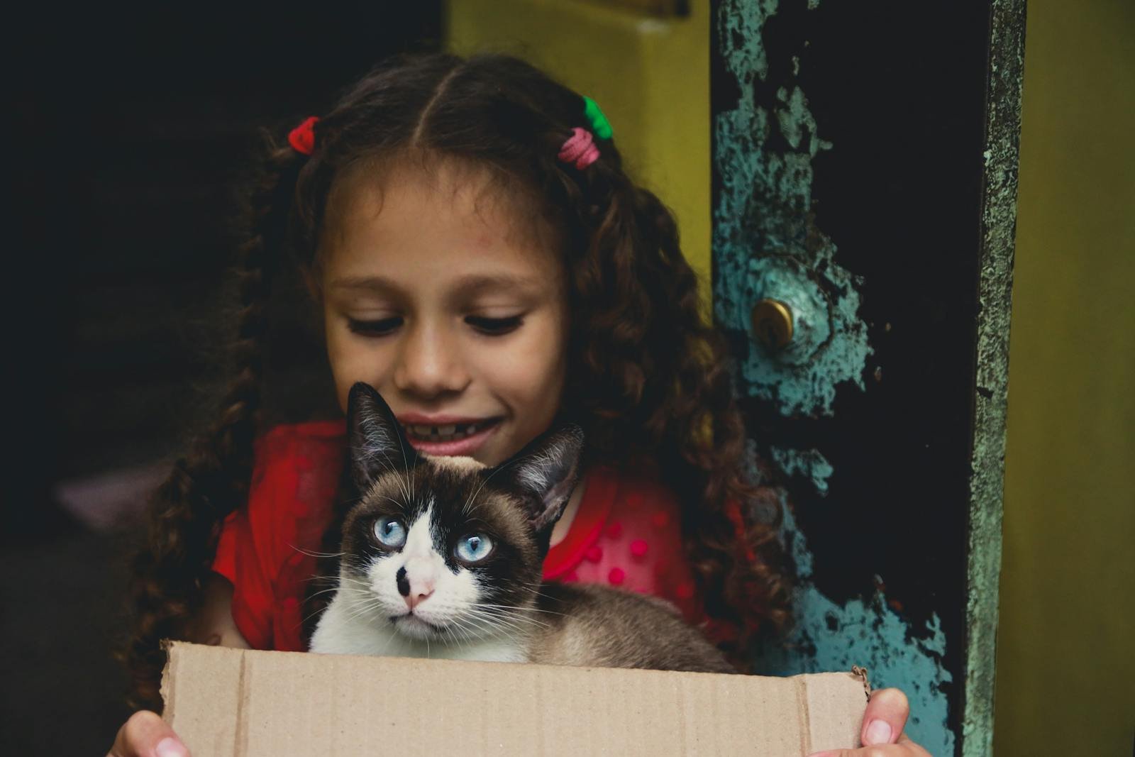 A young girl with curly hair smiles while holding a cat in a cardboard box.