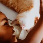 A joyful child lovingly petting a cute orange and white cat indoors.