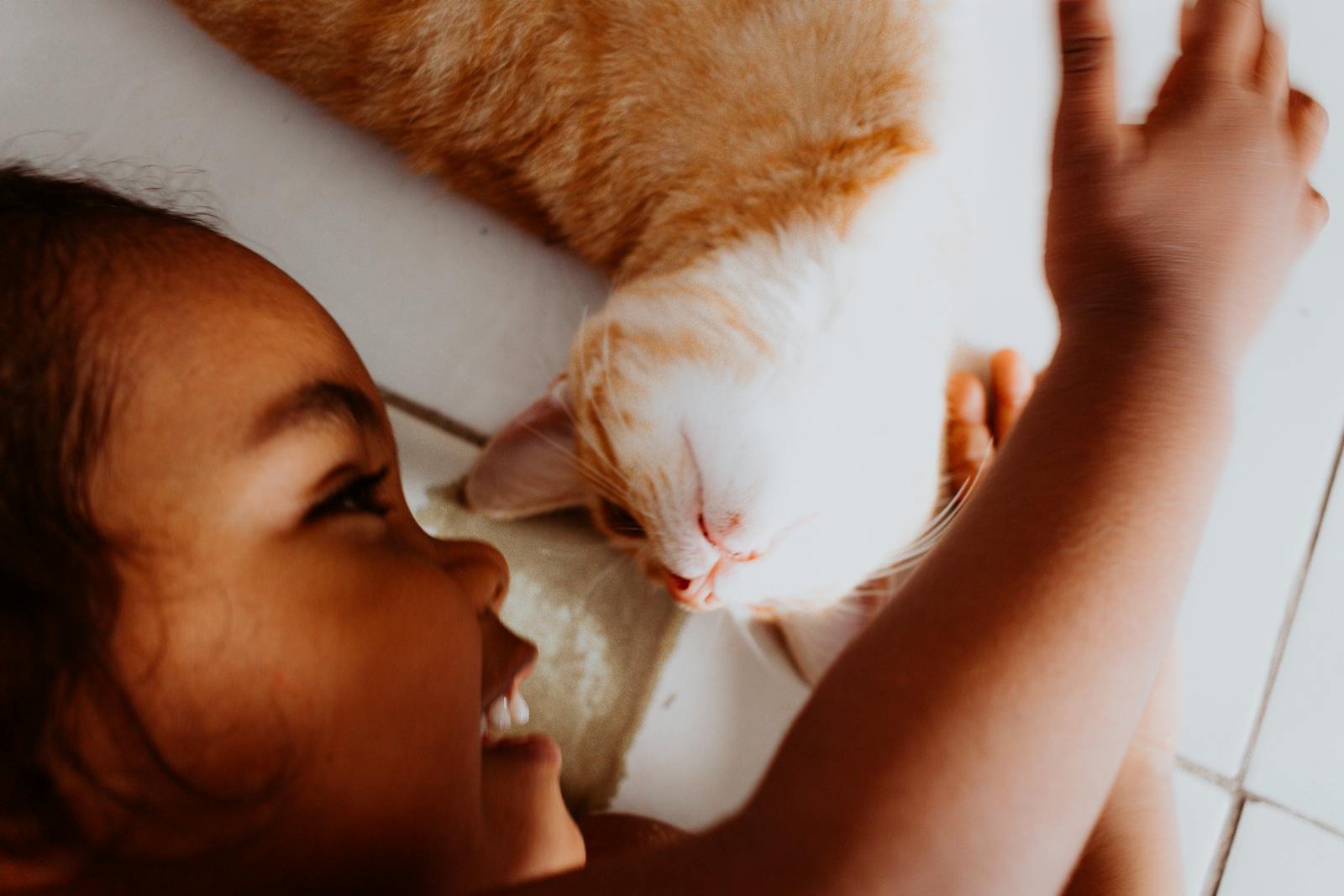 A joyful child lovingly petting a cute orange and white cat indoors.