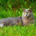 Growing More Comfortable