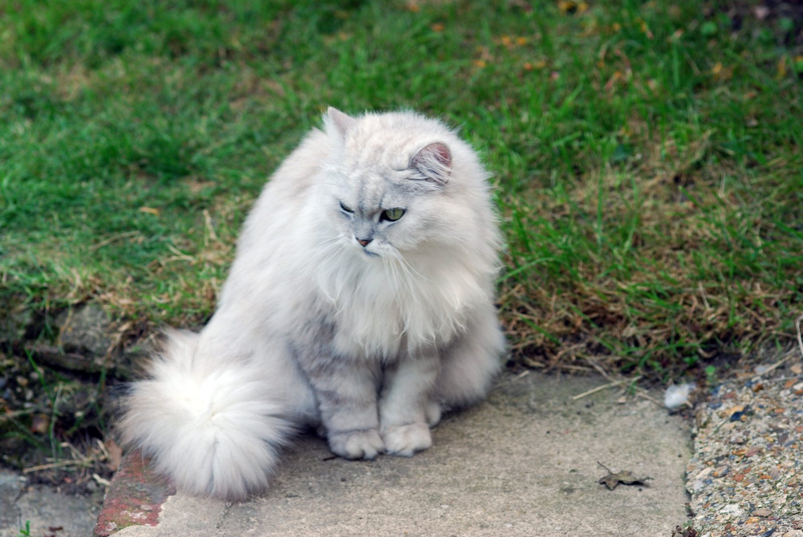 Waiting Patiently for You to Feel Better (image credits: wikimedia)