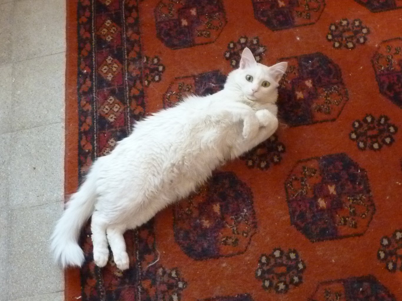 Curiosity and Exploration