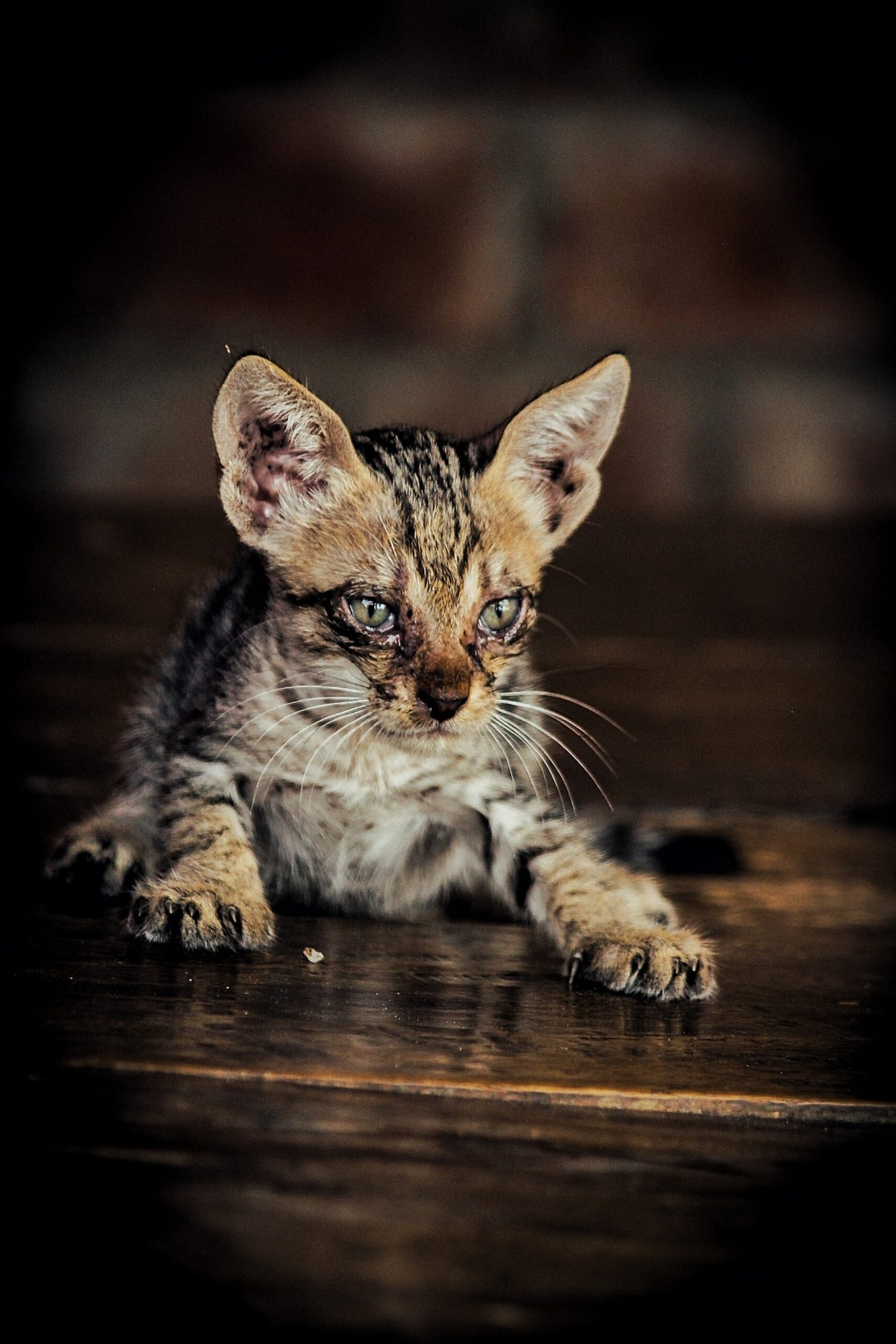 Staying Silent When Needed (image credits: wikimedia)