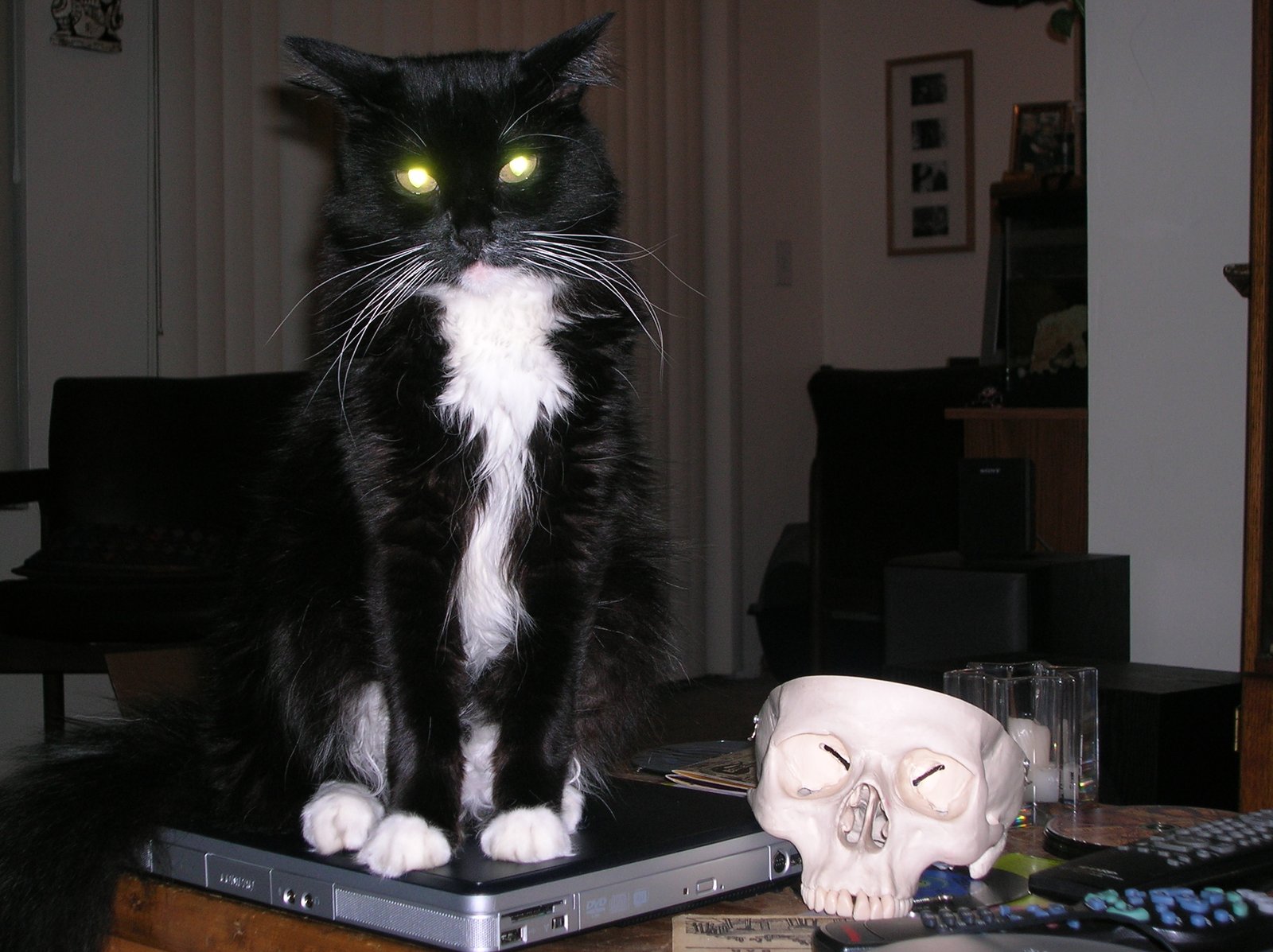 Sitting on Your Belongings (image credits: wikimedia)