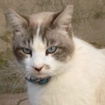 8 Behaviors That Mean “You’re Part of My World Now”