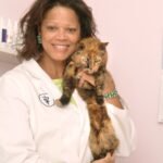 How to Comfort a Cat Without Overwhelming Them