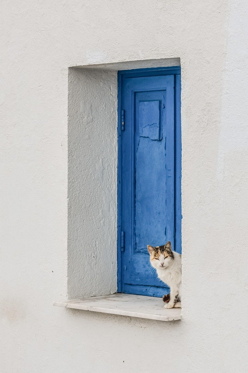 20. Showing an Interest in Outdoor Views (image credits: pixabay)