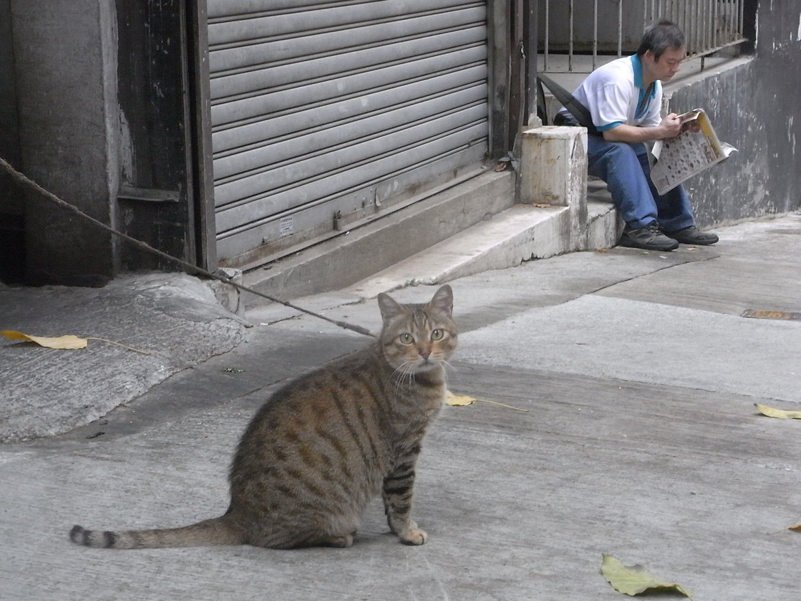 Restraining or Confining Them Unnecessarily (image credits: wikimedia)