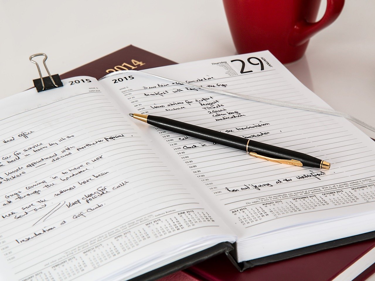Maintaining a Consistent Feeding Schedule (image credits: pixabay)