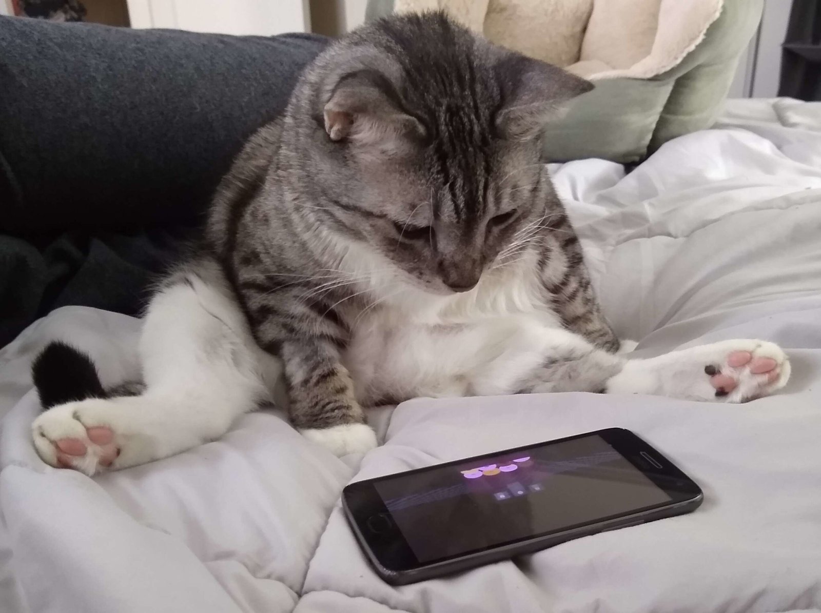 10 Times Your Cat Knew You Were Upset Before You Did
