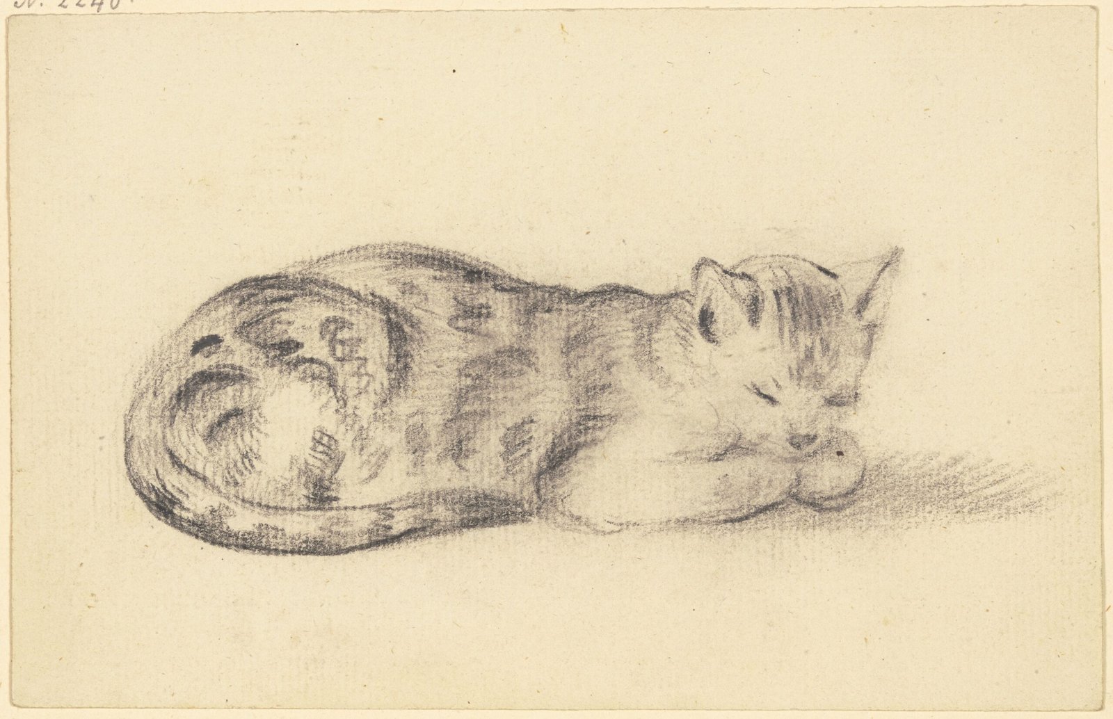 Your Cat Sleeps On or Near You (image credits: wikimedia)