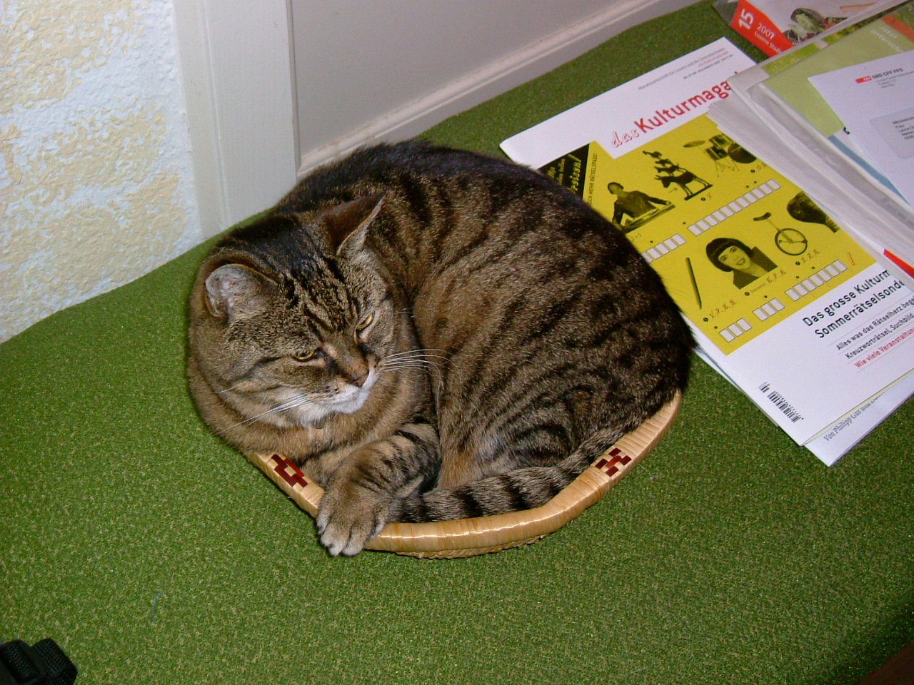 Limit Physical Contact (image credits: wikimedia)