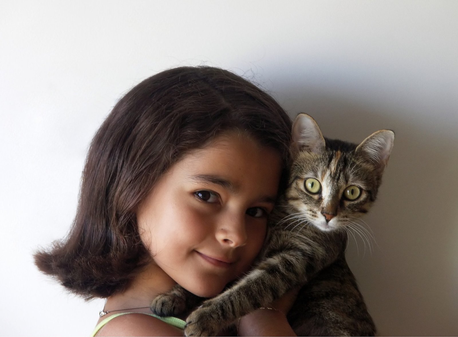 Feline Reactions to Celebrations and Gatherings (image credits: wikimedia)