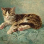 8 Feline Behaviors That Reveal Deep Attachment Over Time