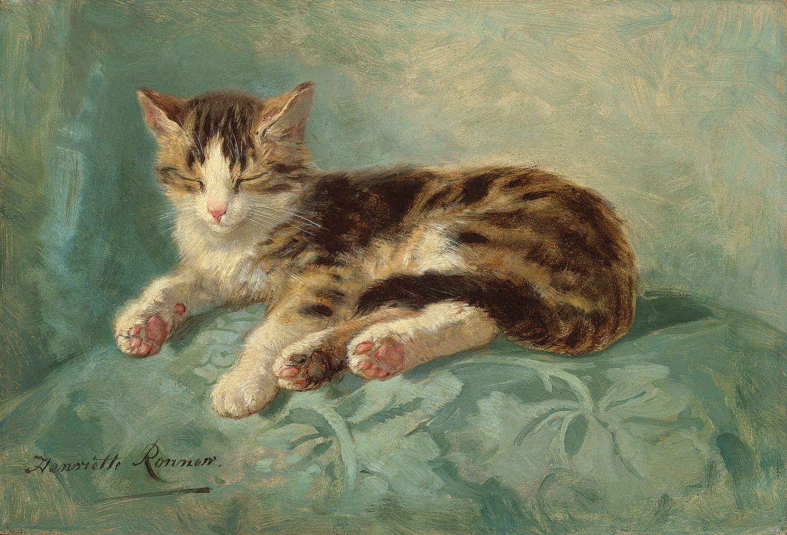8 Feline Behaviors That Reveal Deep Attachment Over Time