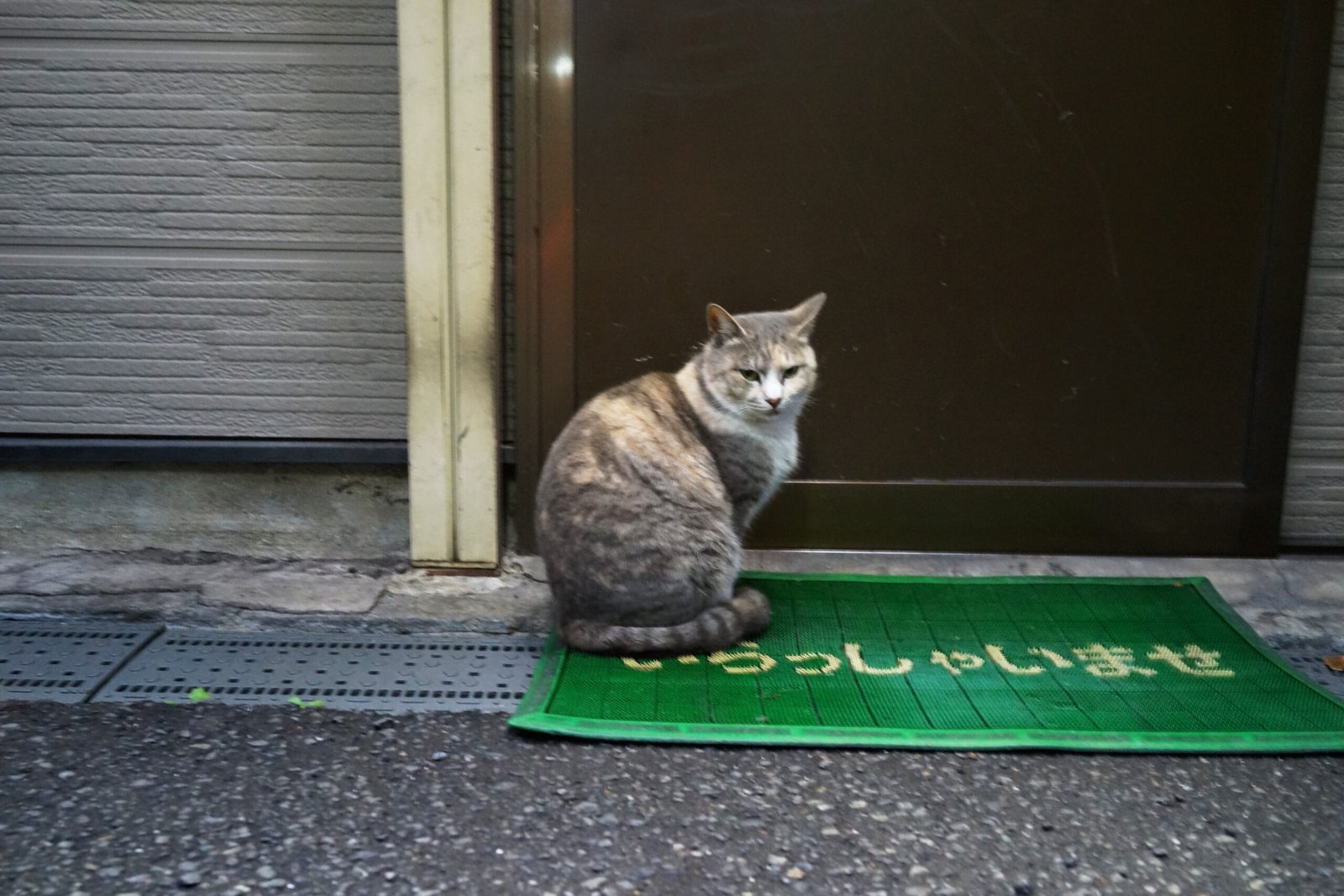 Greeting You at the Door (image credits: wikimedia)