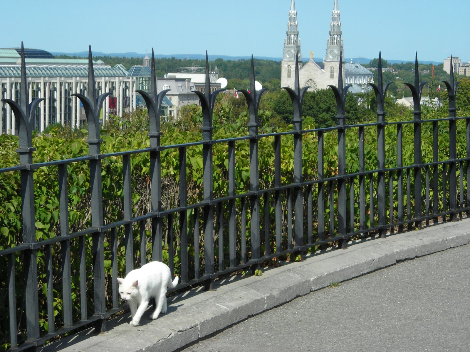 Ability to Create Personal Safe Spaces (image credits: wikimedia)