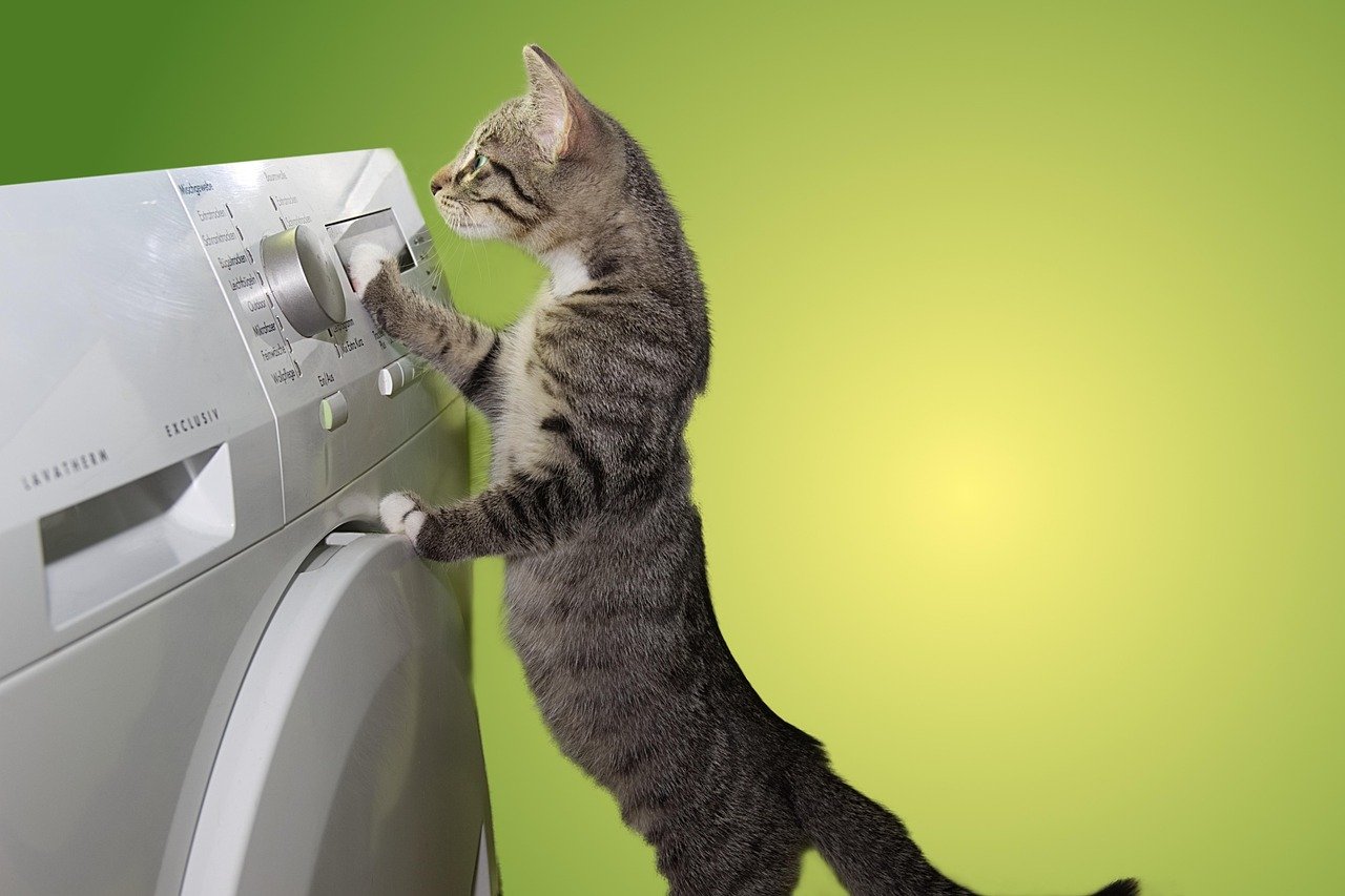 Impact of Household Dynamics (image credits: pixabay)