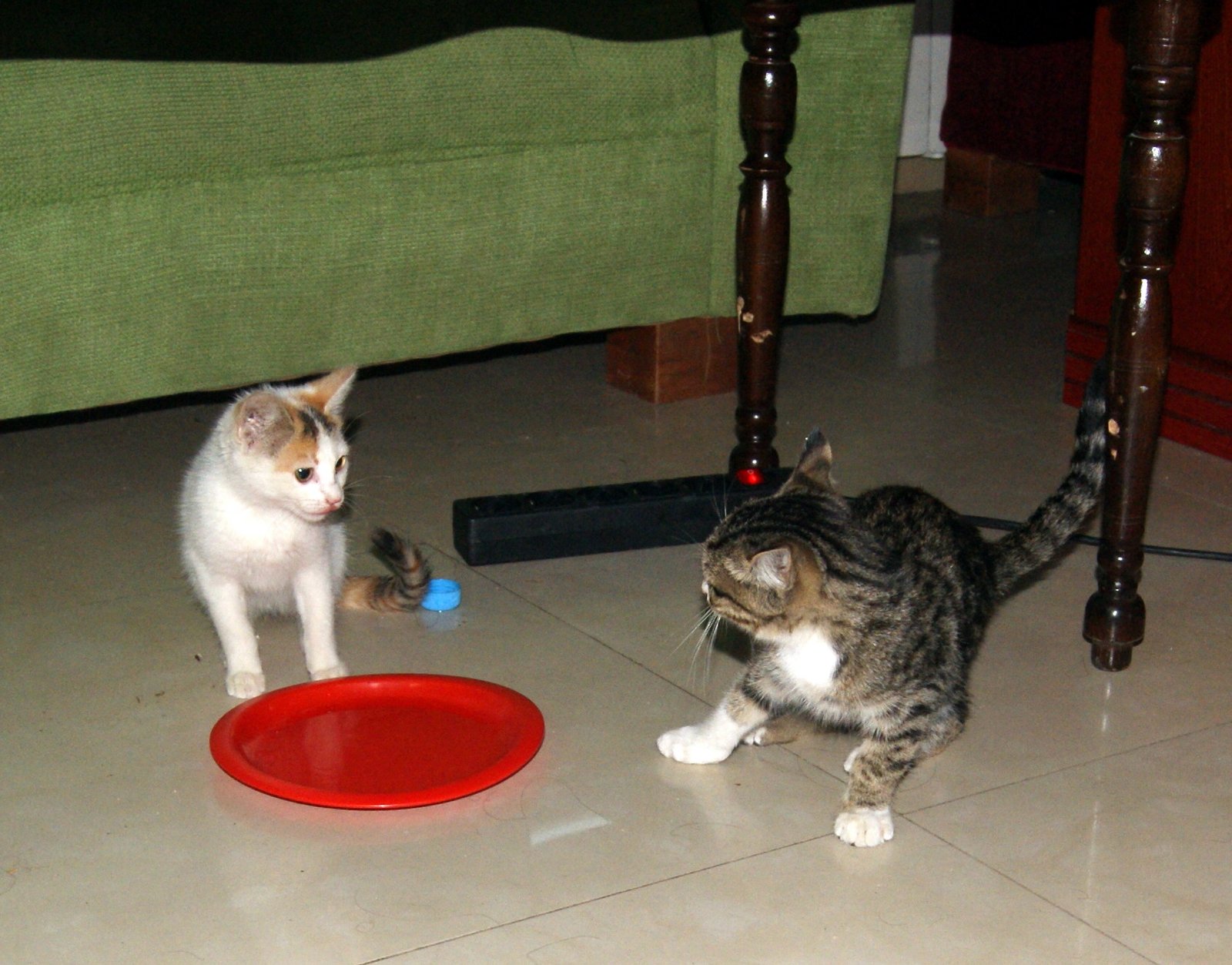 Your Cat Talks to You (image credits: wikimedia)