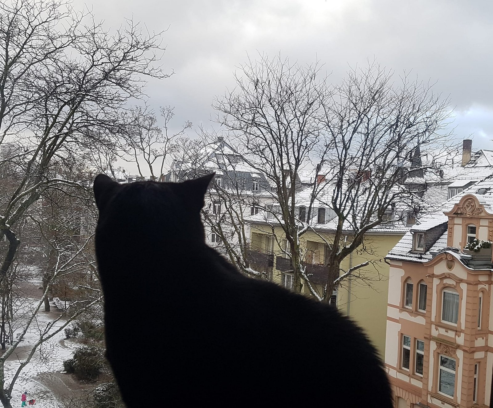 Interest in the Outdoors (Even from Indoors) (image credits: wikimedia)