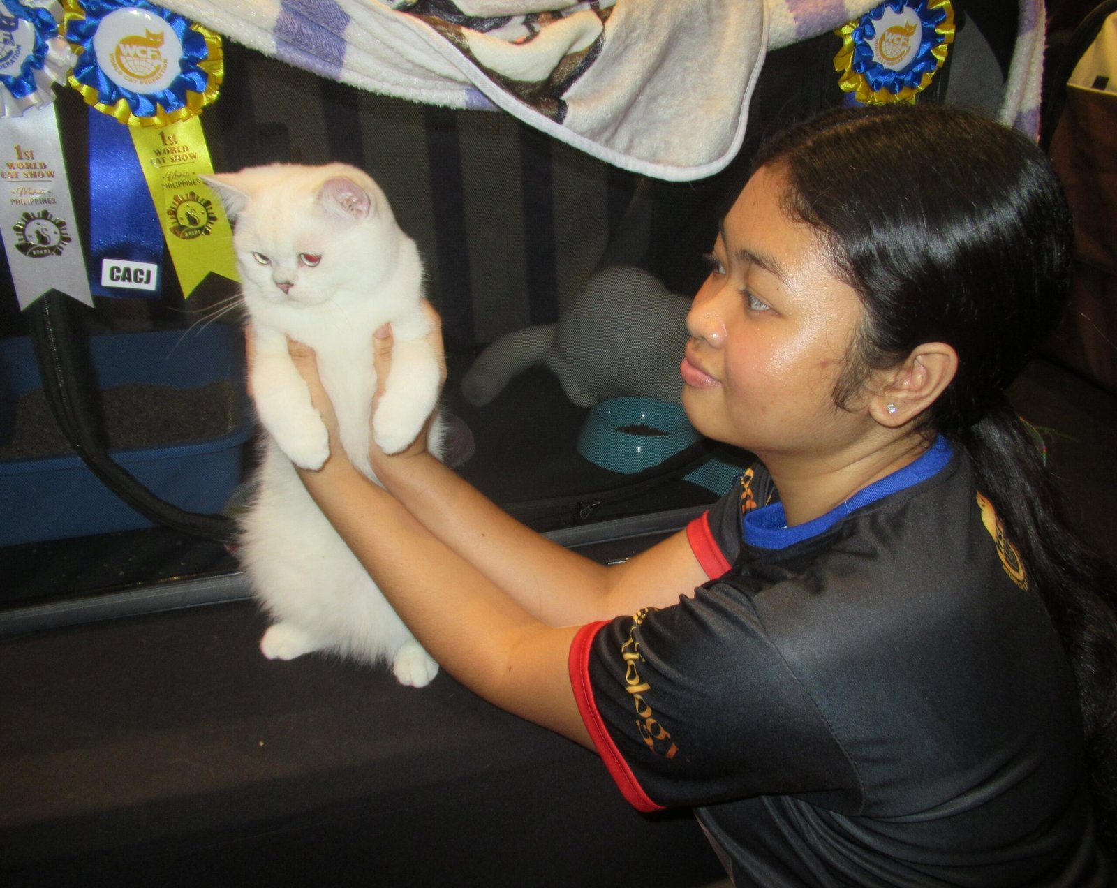 The Watchful Eyes During Cleaning (image credits: wikimedia)