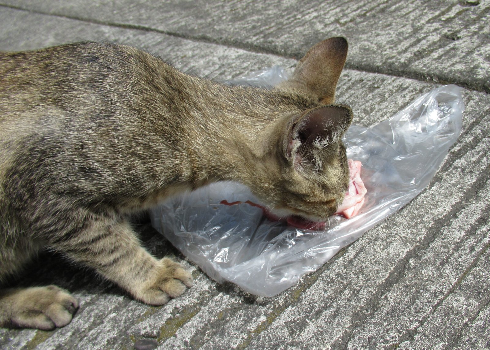 Eating and Drinking Openly (image credits: wikimedia)