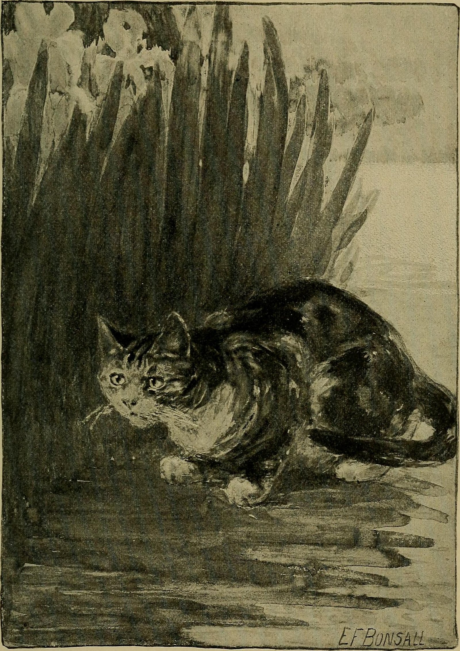 Offering a Paw Gently (image credits: wikimedia)