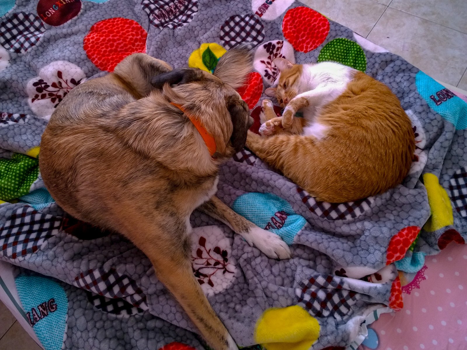 Lap Time: The Power of Physical Connection (image credits: wikimedia)