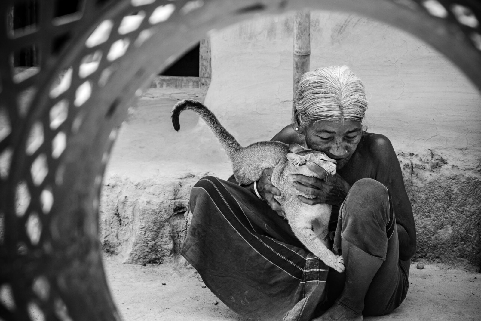 What It Means When Cats Create Daily Rituals Around You