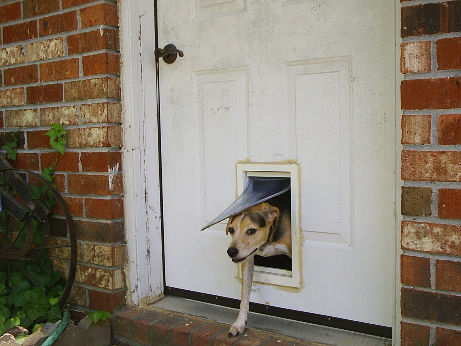 Preparing for a Quick Getaway (image credits: wikimedia)