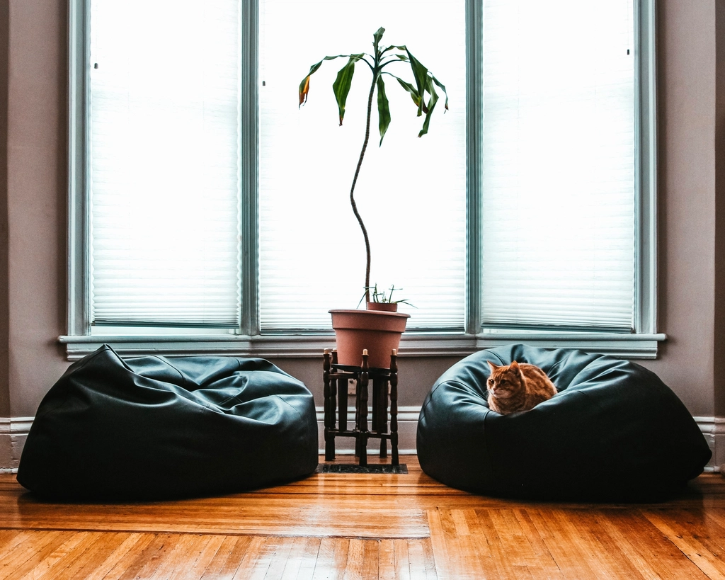 Creating a Safe and Inviting Environment (image credits: rawpixel)