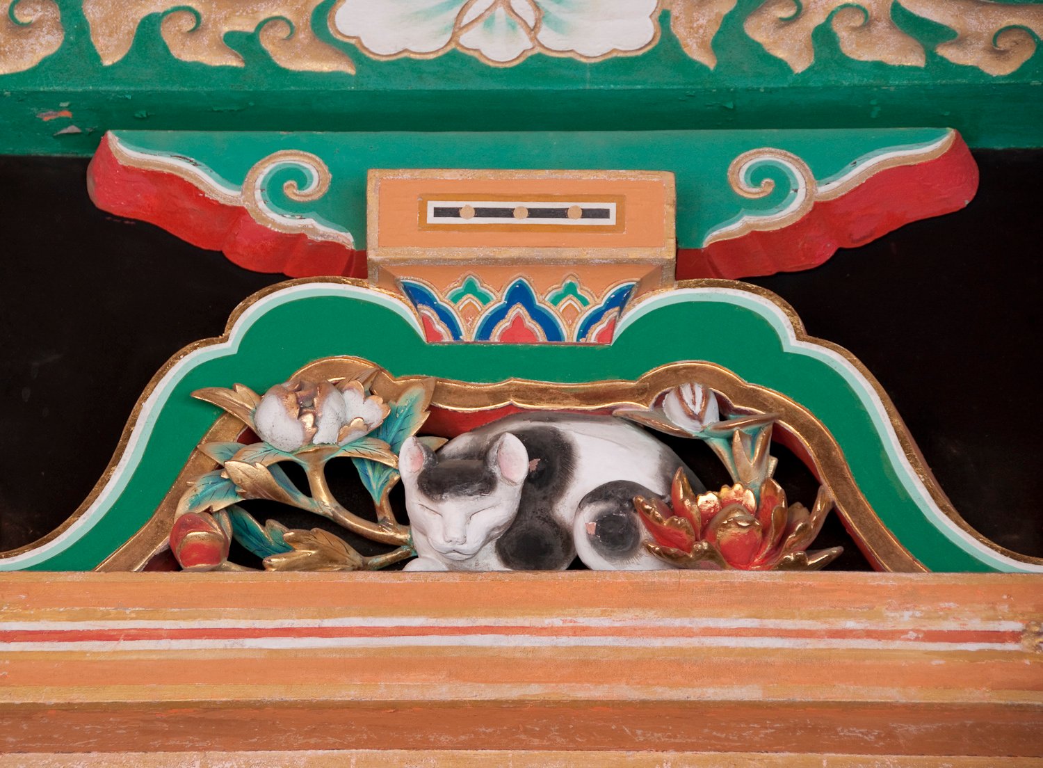 The Instinct Behind the Nap (image credits: wikimedia)