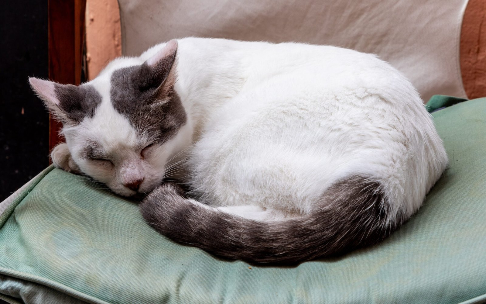 Communication Through Sleeping Habits (image credits: wikimedia)