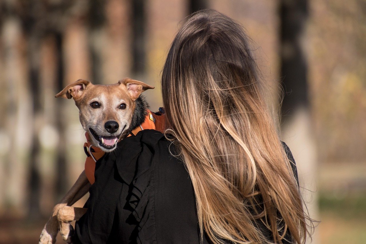 Returning to You After a Scare (image credits: pixabay)