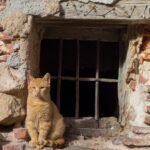 Sharing in Grief and Loss