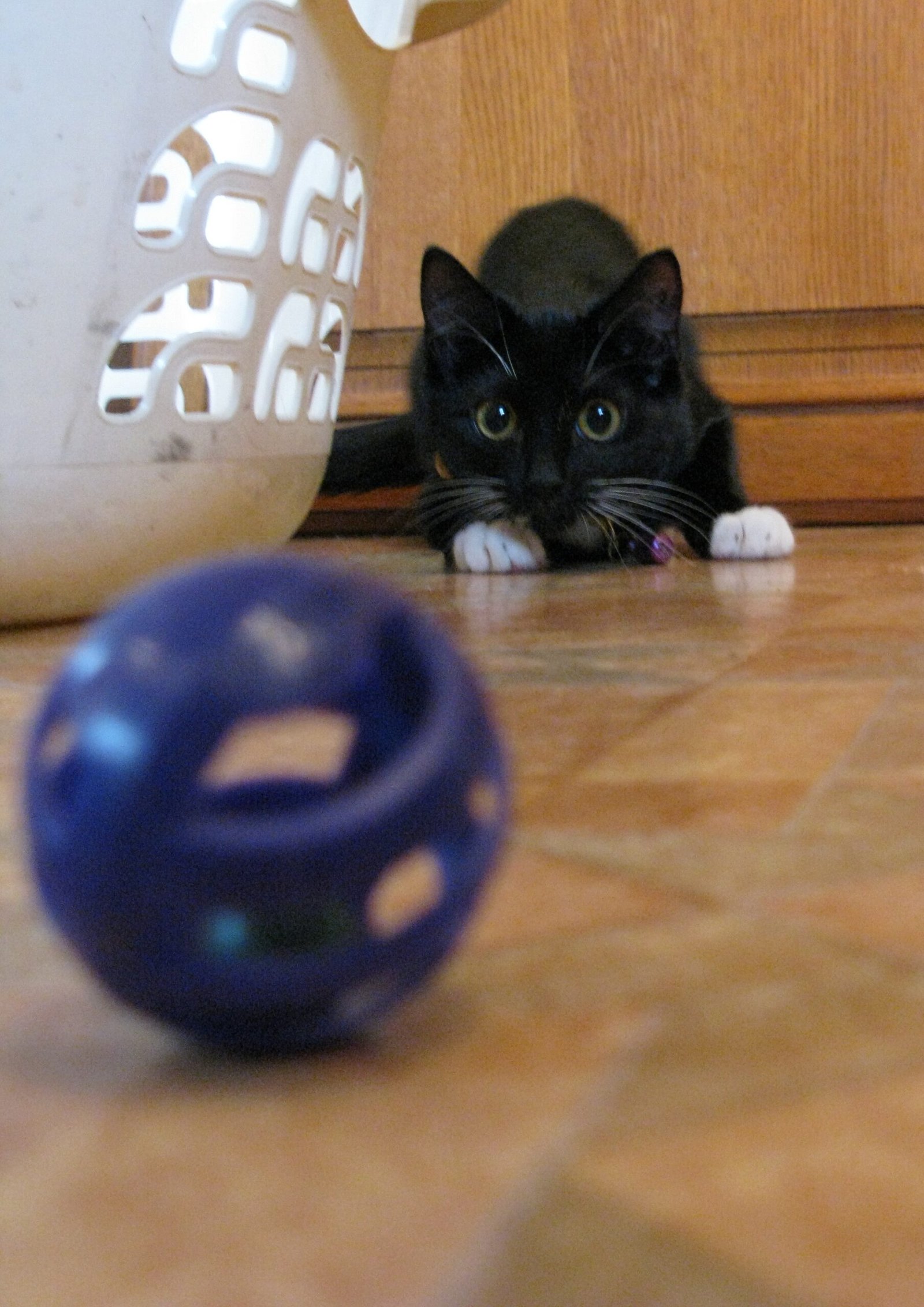 Discovering Playfulness: The Joy of Toys (image credits: wikimedia)