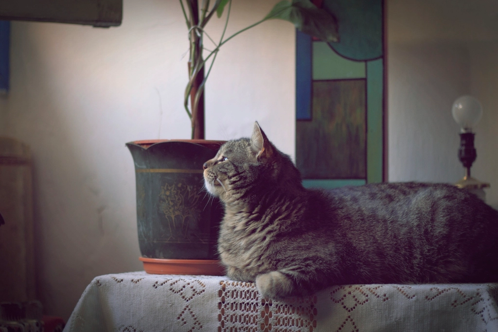 Returning to Their Favorite Spots (image credits: rawpixel)