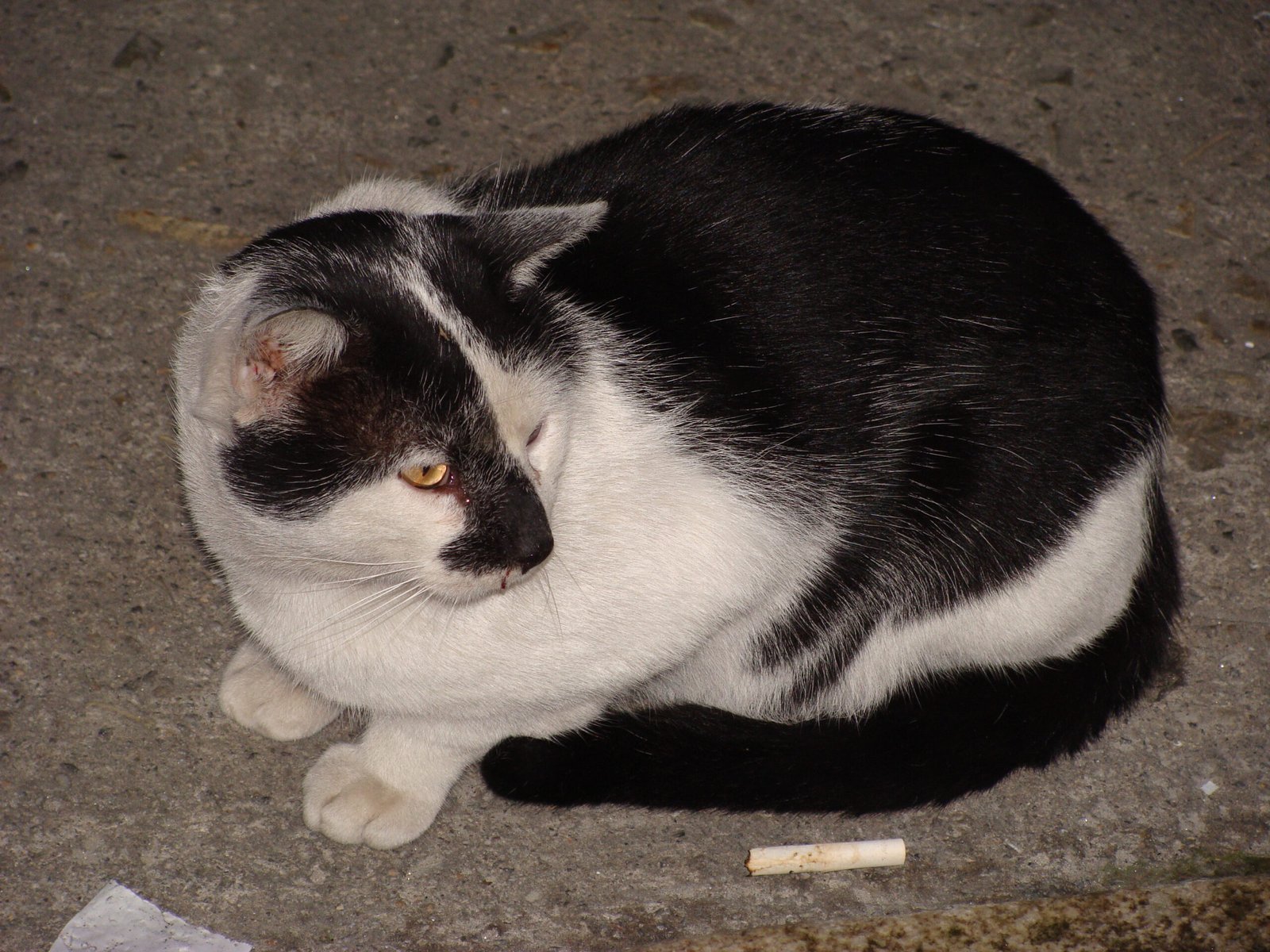 Your Family’s Readiness (image credits: wikimedia)