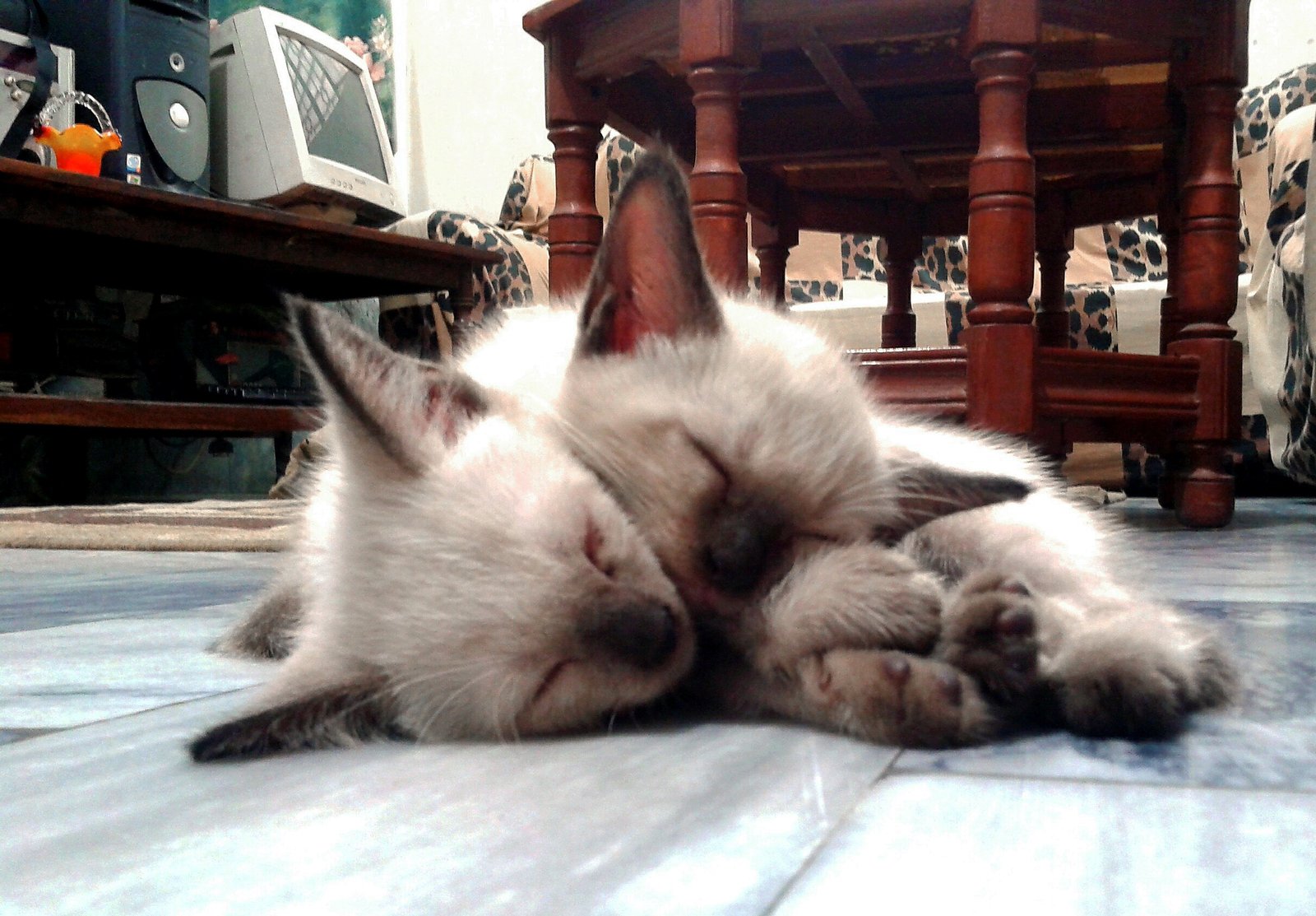 Uncomfortable Temperatures (image credits: wikimedia)