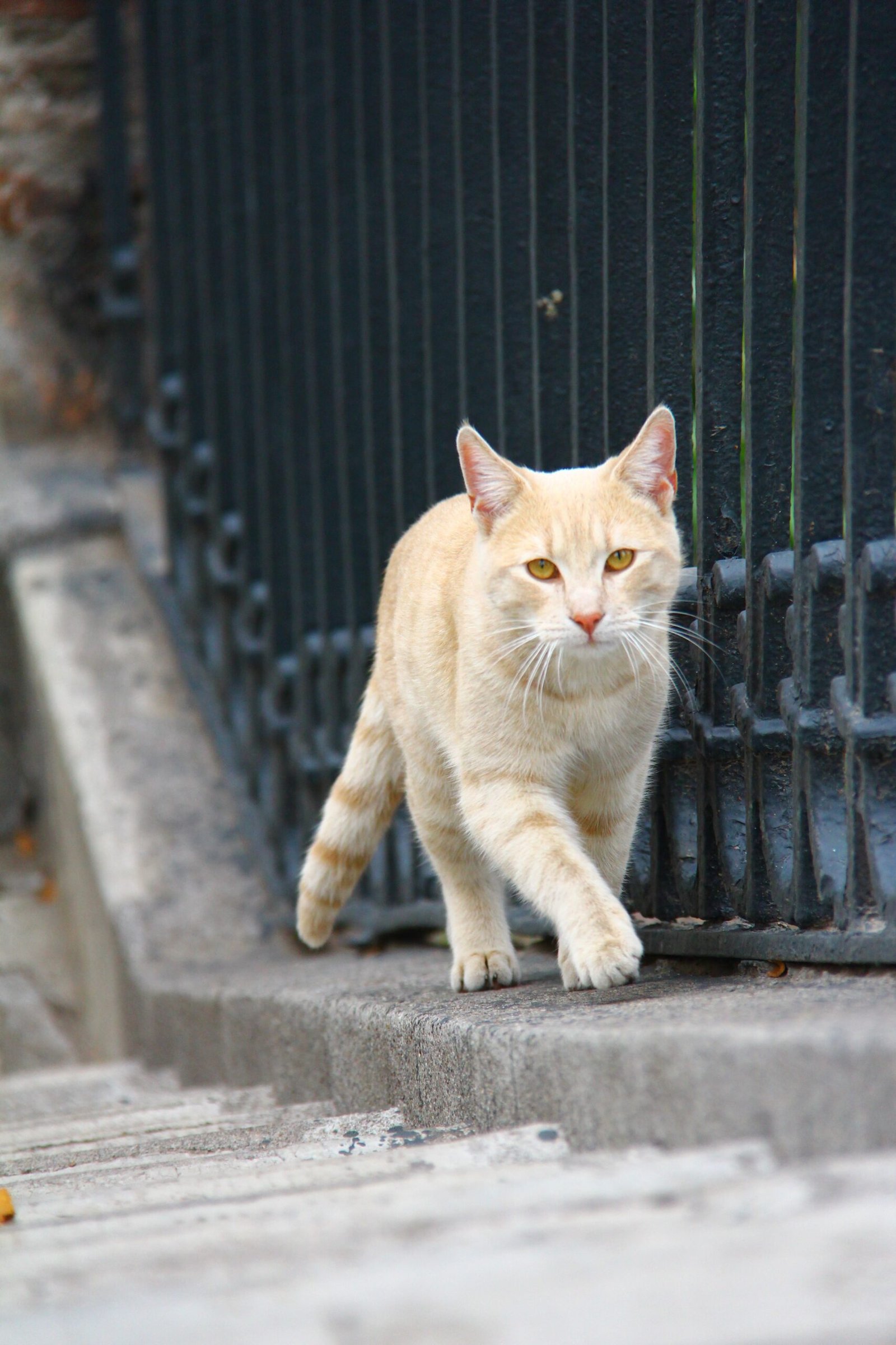 Too Much Alone Time (image credits: wikimedia)