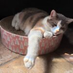 Emotionally Recharge