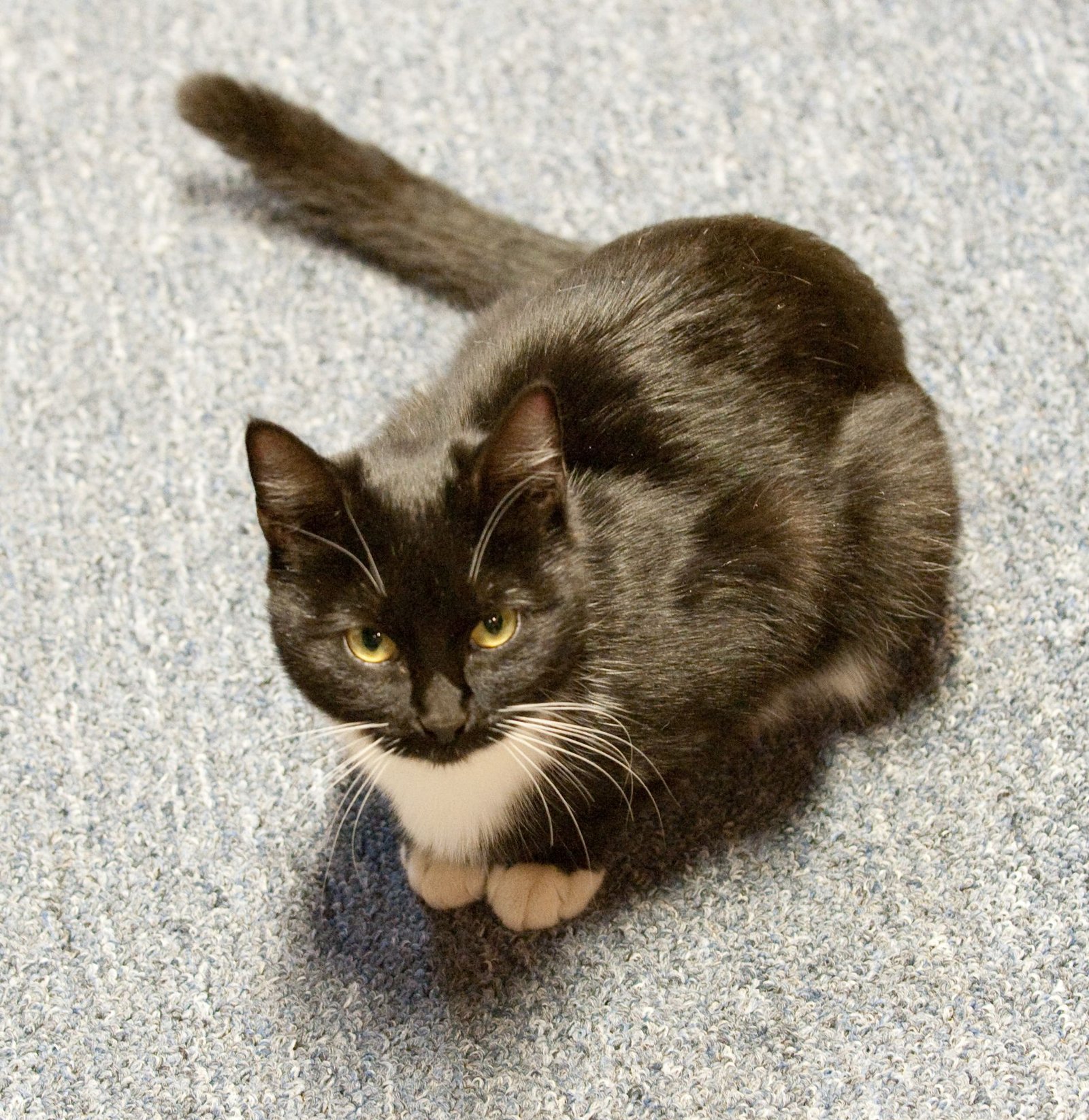 Ensuring Access to Fresh Water and Food (image credits: wikimedia)