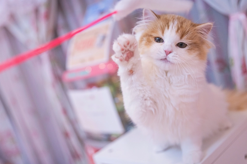 Persian: The Regal Lap Lover (image credits: rawpixel)