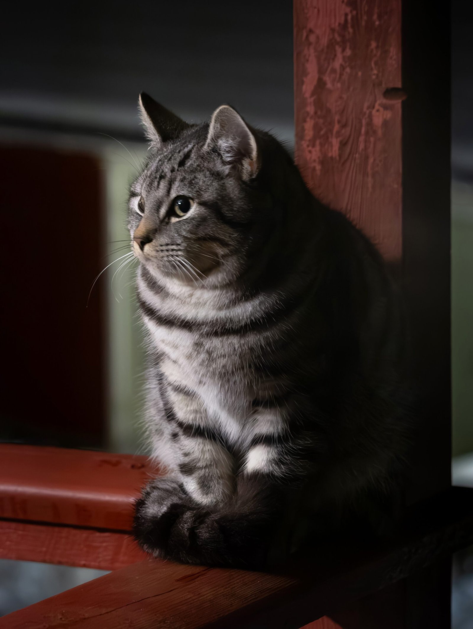 Nighttime Watchfulness (image credits: wikimedia)