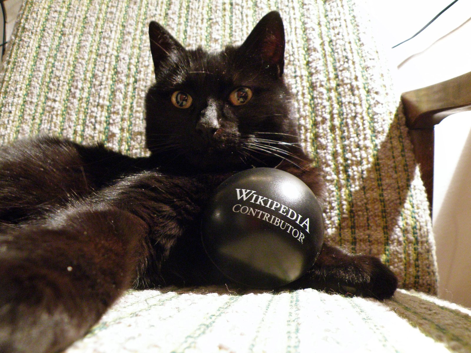 Monitoring for Signs of Stress (image credits: wikimedia)