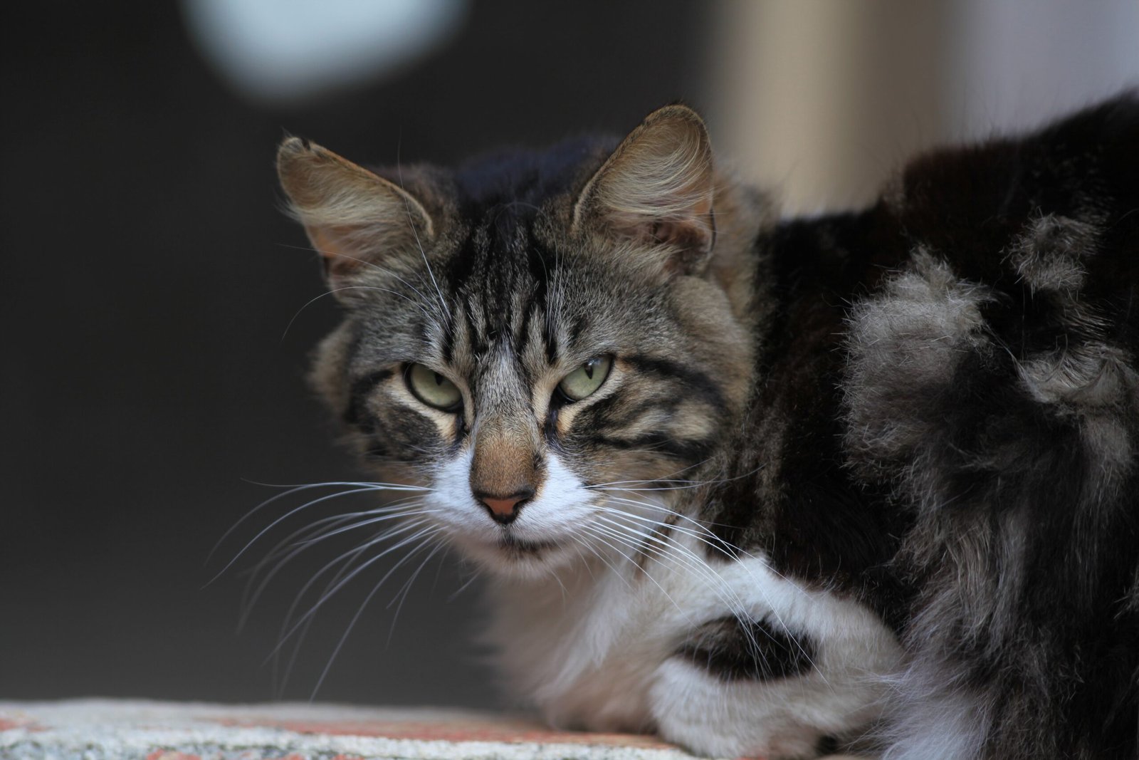 When Silence Means Something Else (image credits: wikimedia)