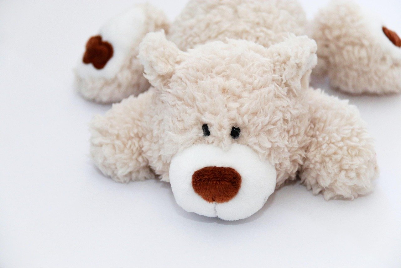 Offer Variety in Toys and Activities (image credits: pixabay)